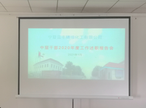 宁夏蓝丰开展2020年度中层干部述职评议